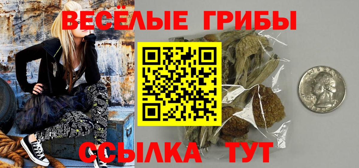 Псилоцибиновые грибы мицелий Джанкой