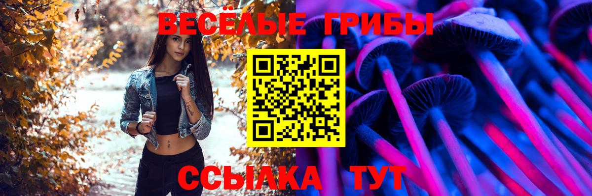 Псилоцибиновые грибы Psilocybine cubensis  Вход с VPN  купить наркоту  Джанкой 