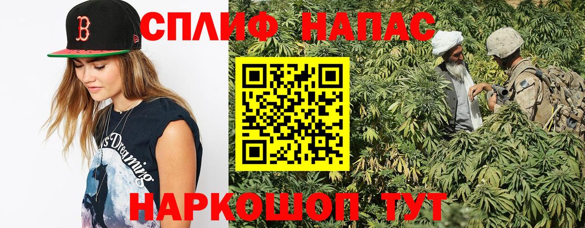 Канабис White Widow  Конопля VHQ  Джанкой  Вход с VPN  МАРИХУАНА White Widow  Бошки Шишки White Widow 